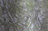 Knights Hill fibreglass roof work